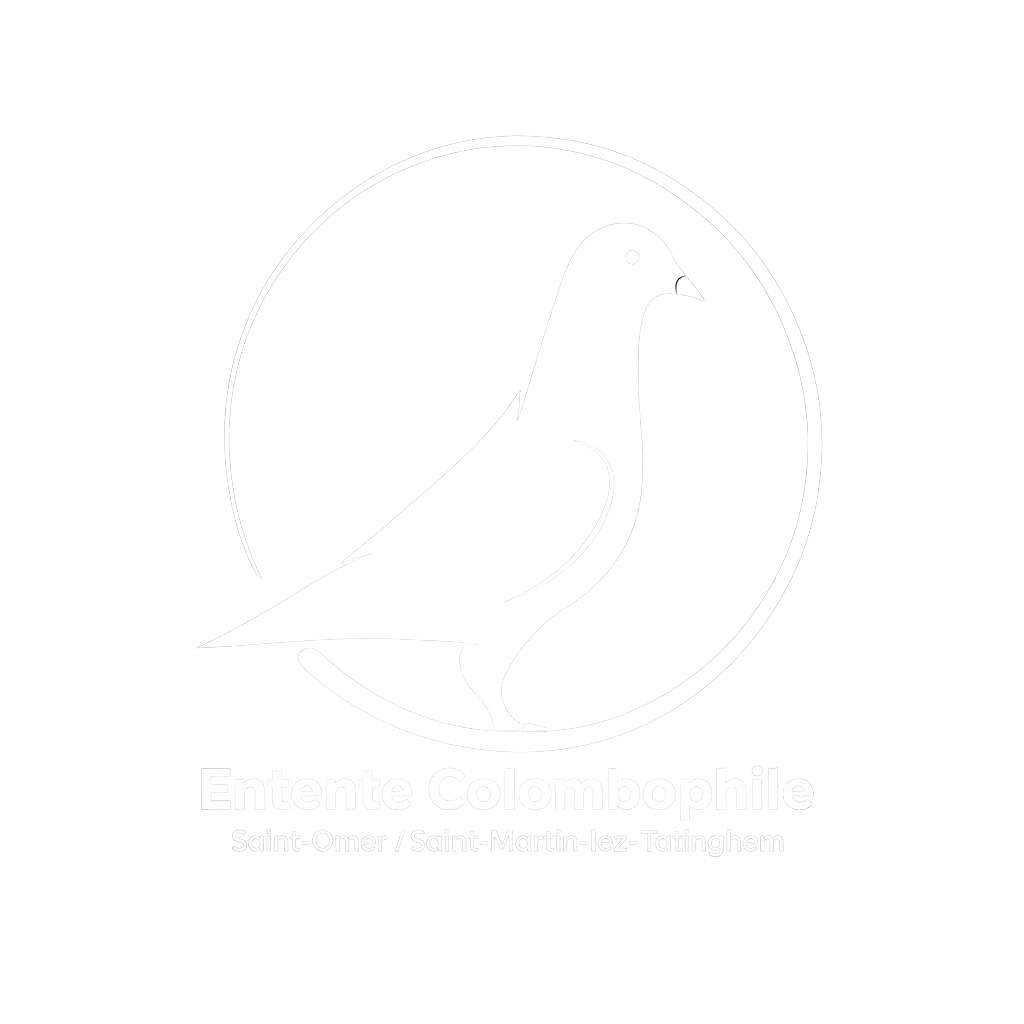 3d1bbc52-ba6e-430f-8853-638903667bd2